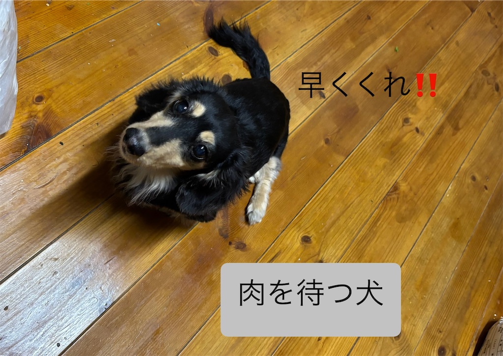 f:id:pirokitan:20250401071138j:image