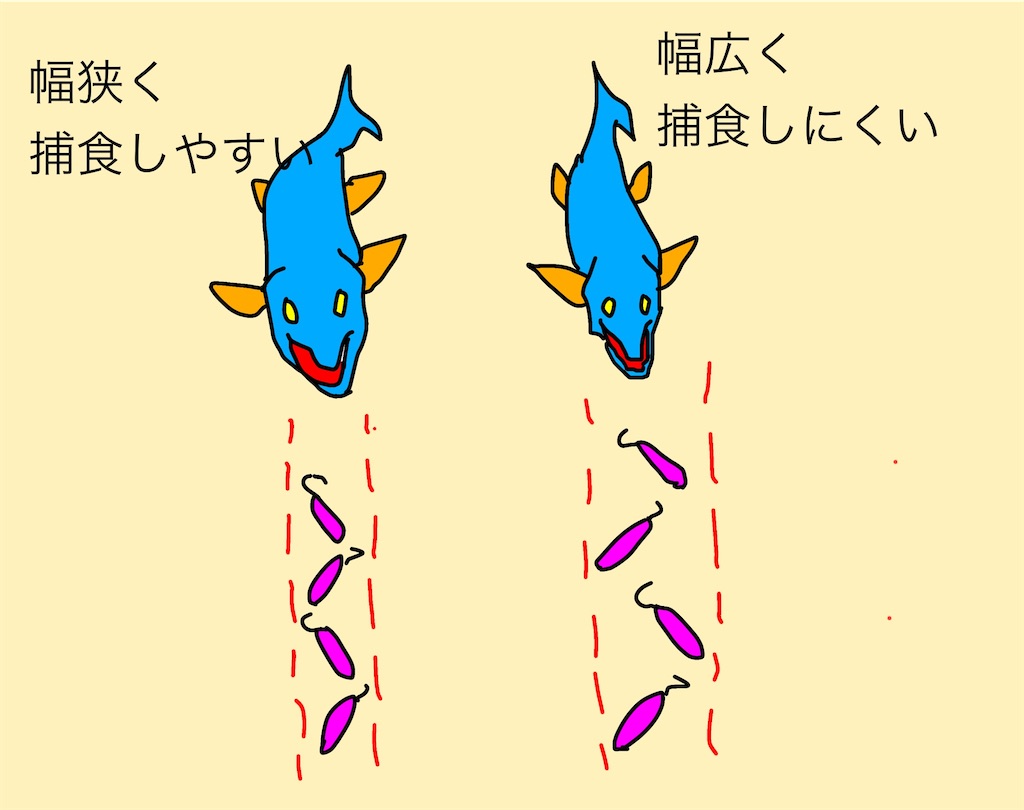 f:id:pirokitan:20250409230747j:image