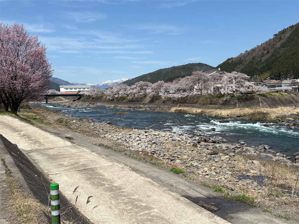 f:id:pirokitan:20250413085446j:image