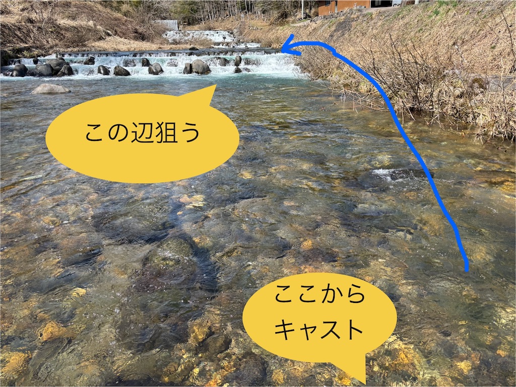 f:id:pirokitan:20250413194940j:image