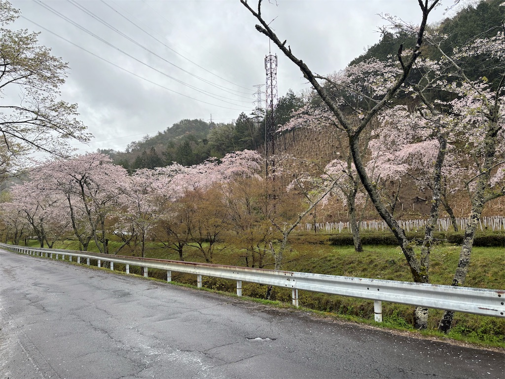 f:id:pirokitan:20250414063911j:image