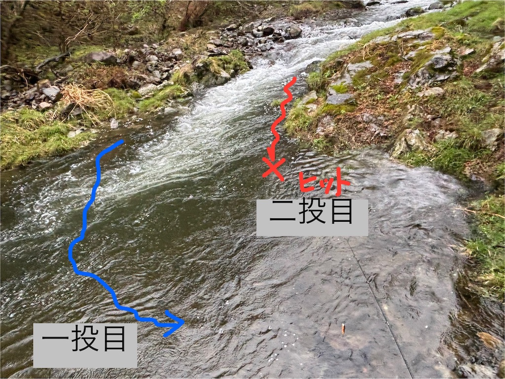 f:id:pirokitan:20250417064545j:image