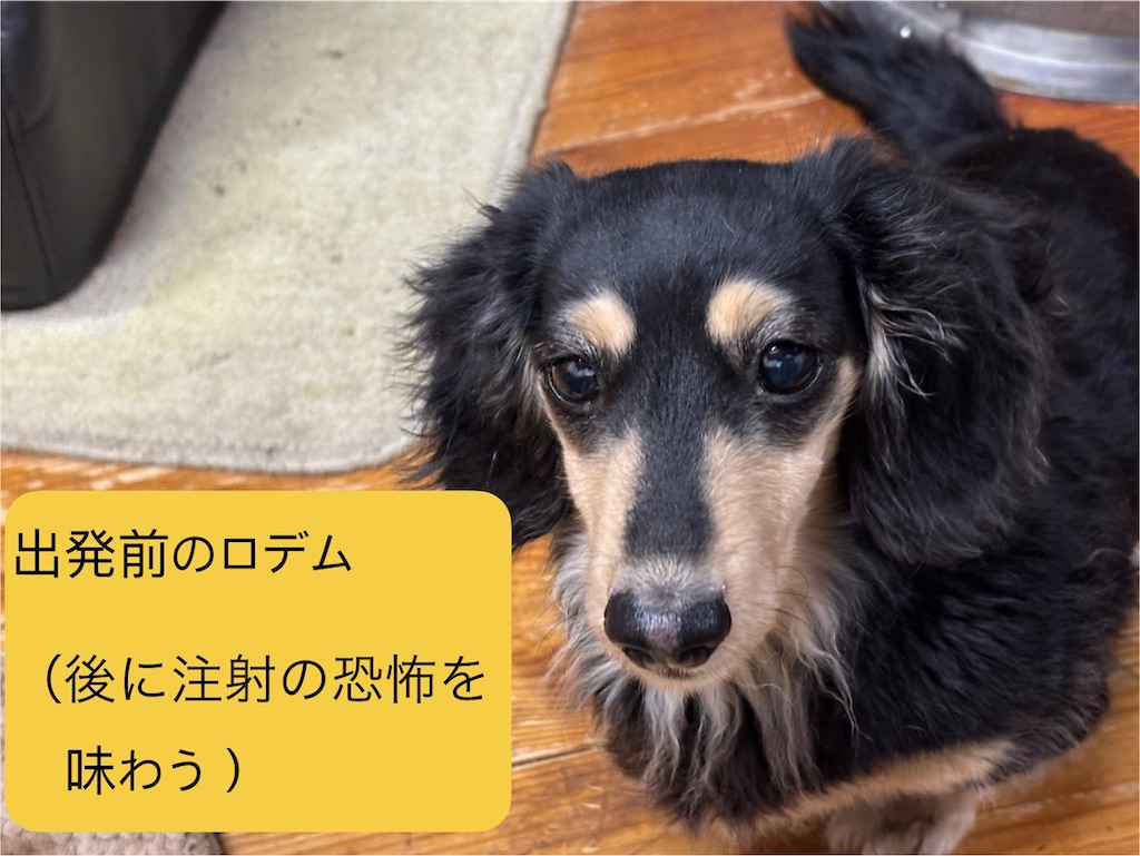 f:id:pirokitan:20250427202235j:image