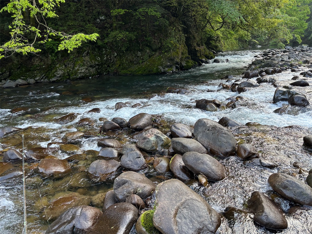 f:id:pirokitan:20250430070119j:image