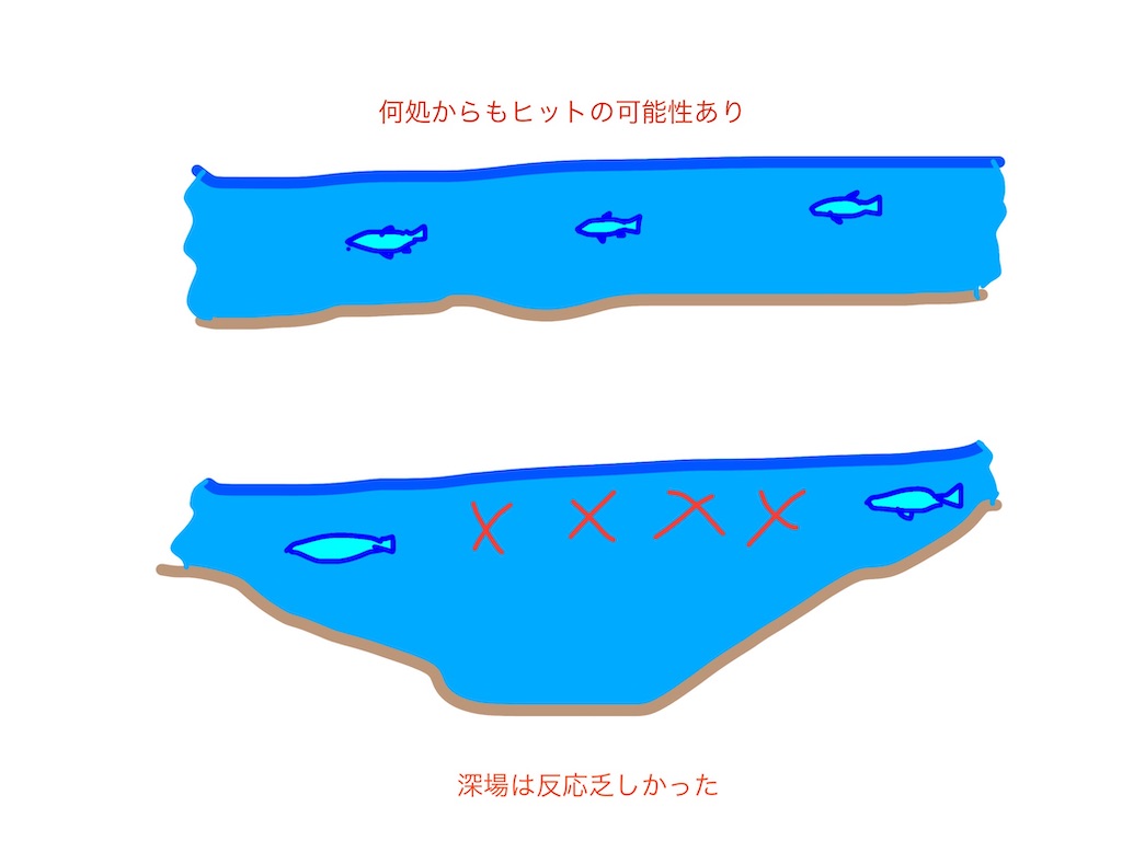 f:id:pirokitan:20250504054253j:image