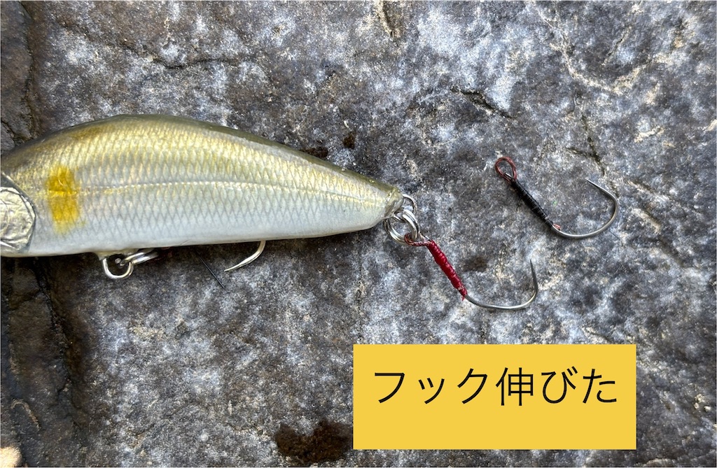 f:id:pirokitan:20250504091601j:image