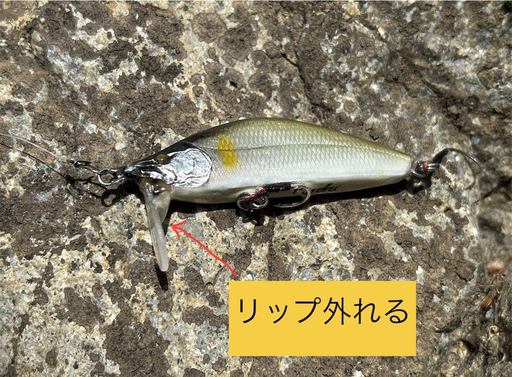 f:id:pirokitan:20250504091654j:image