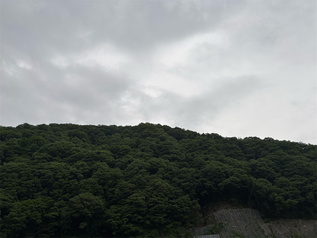 f:id:pirokitan:20250525210228j:image