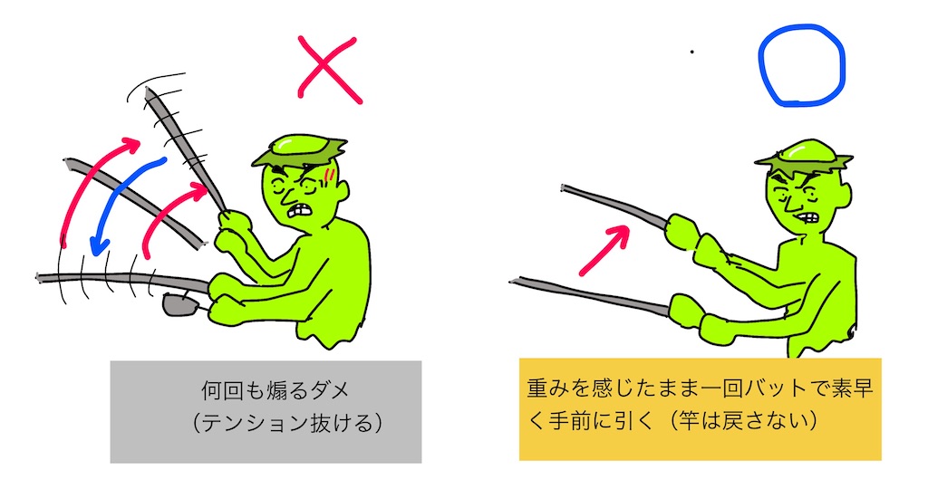 f:id:pirokitan:20250530145815j:image