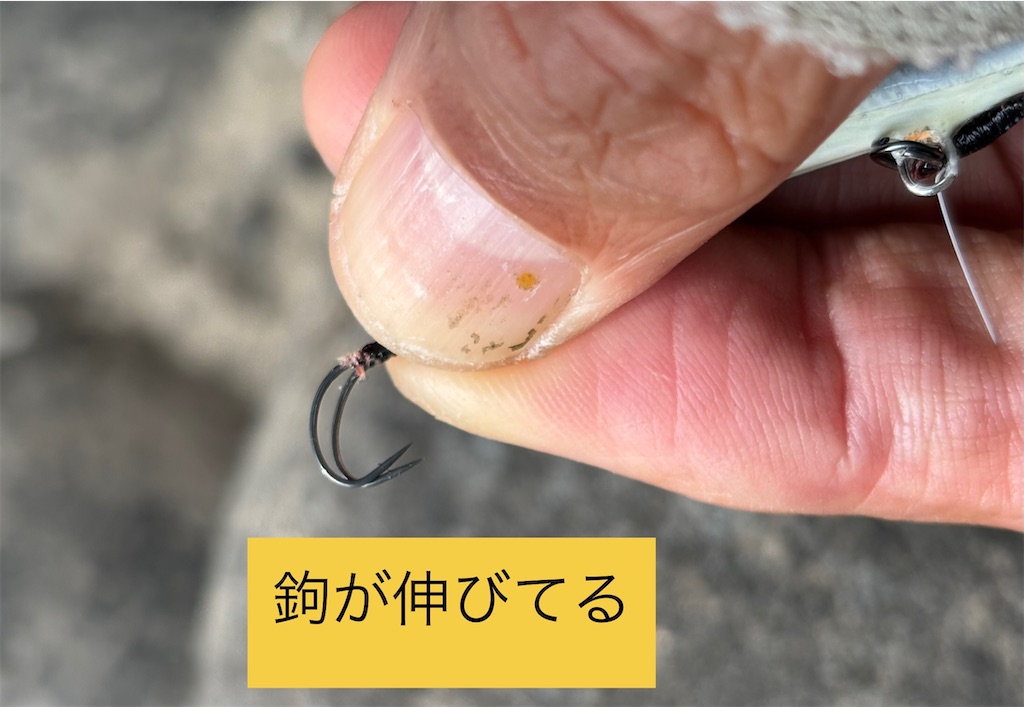 f:id:pirokitan:20250601175822j:image