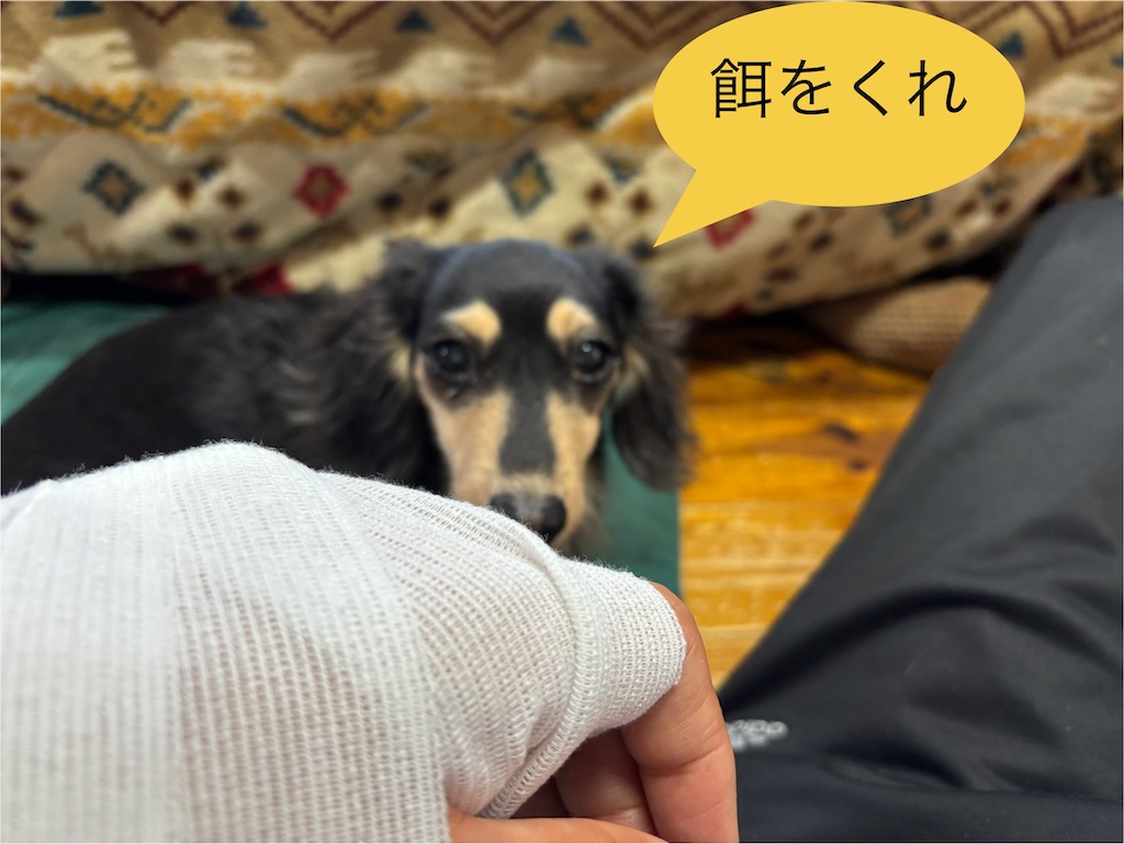 f:id:pirokitan:20250602105008j:image