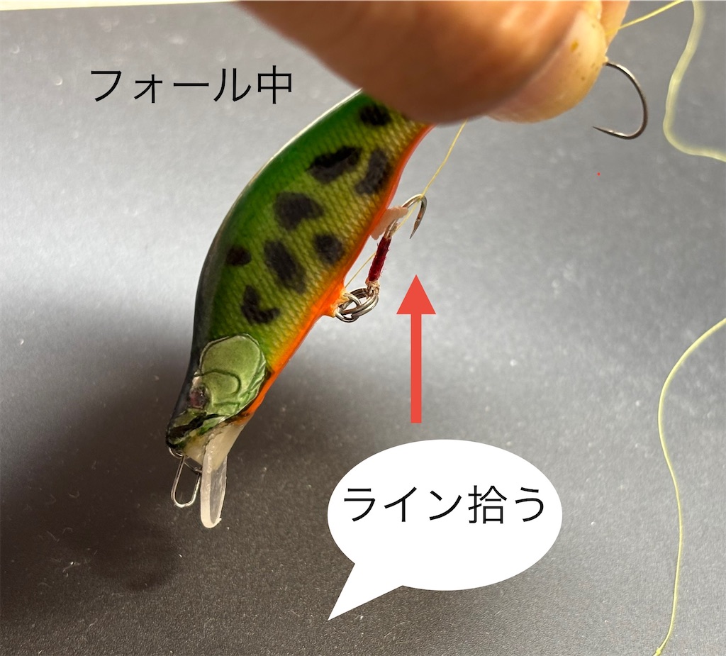 f:id:pirokitan:20250612063008j:image