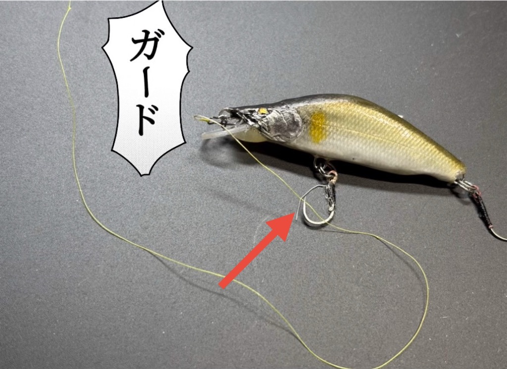 f:id:pirokitan:20250612064031j:image