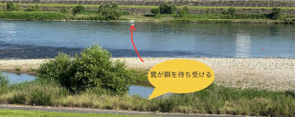 f:id:pirokitan:20250615193747j:image