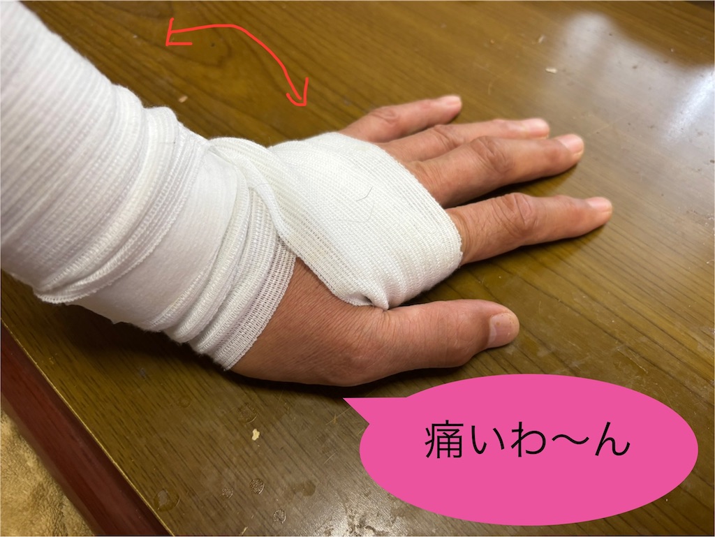 f:id:pirokitan:20250615194500j:image