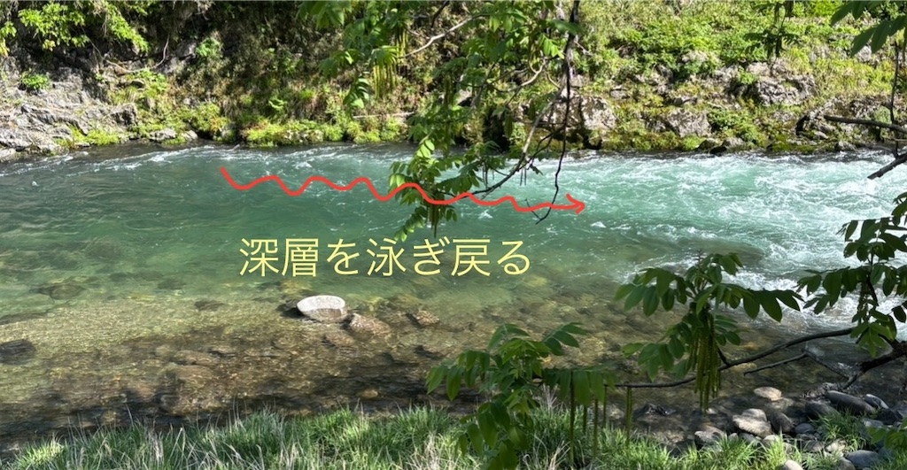 f:id:pirokitan:20250623070215j:image