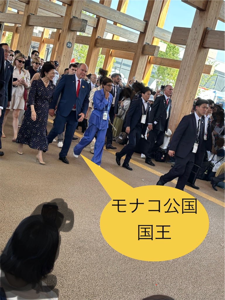 f:id:pirokitan:20250629114604j:image