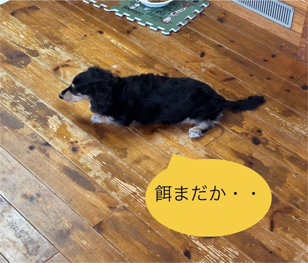 f:id:pirokitan:20250704065537j:image