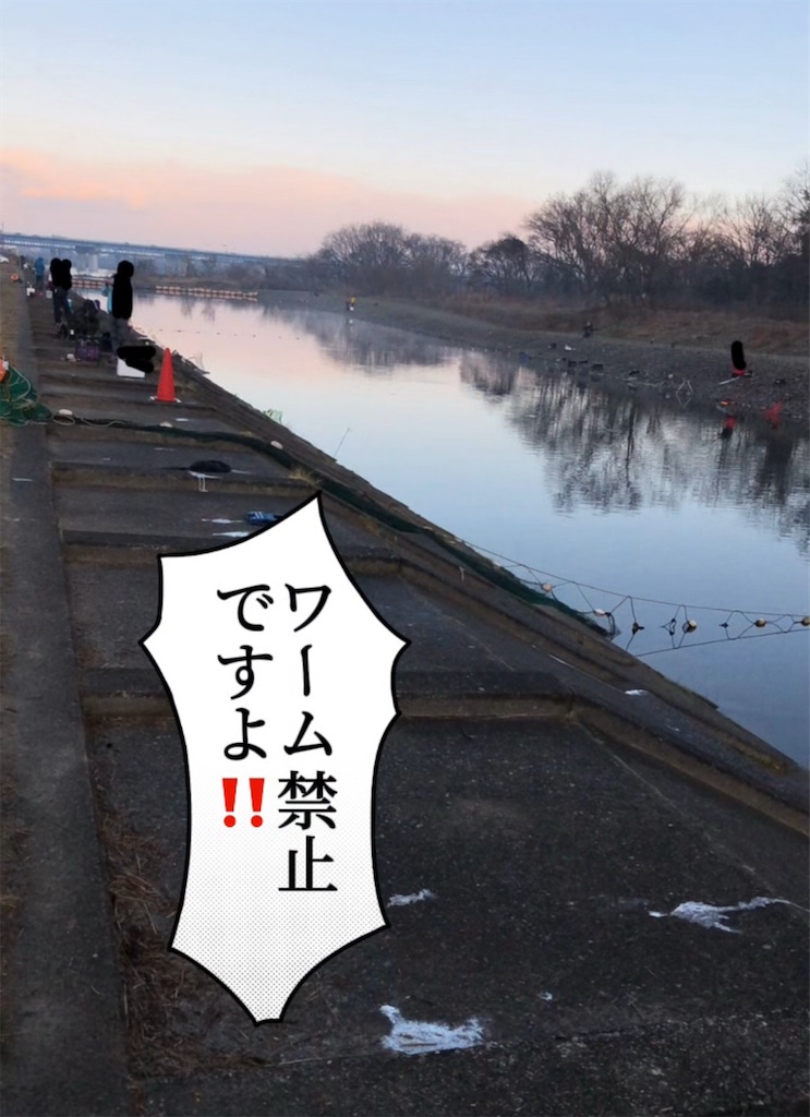 f:id:pirokitan:20250708064226j:image