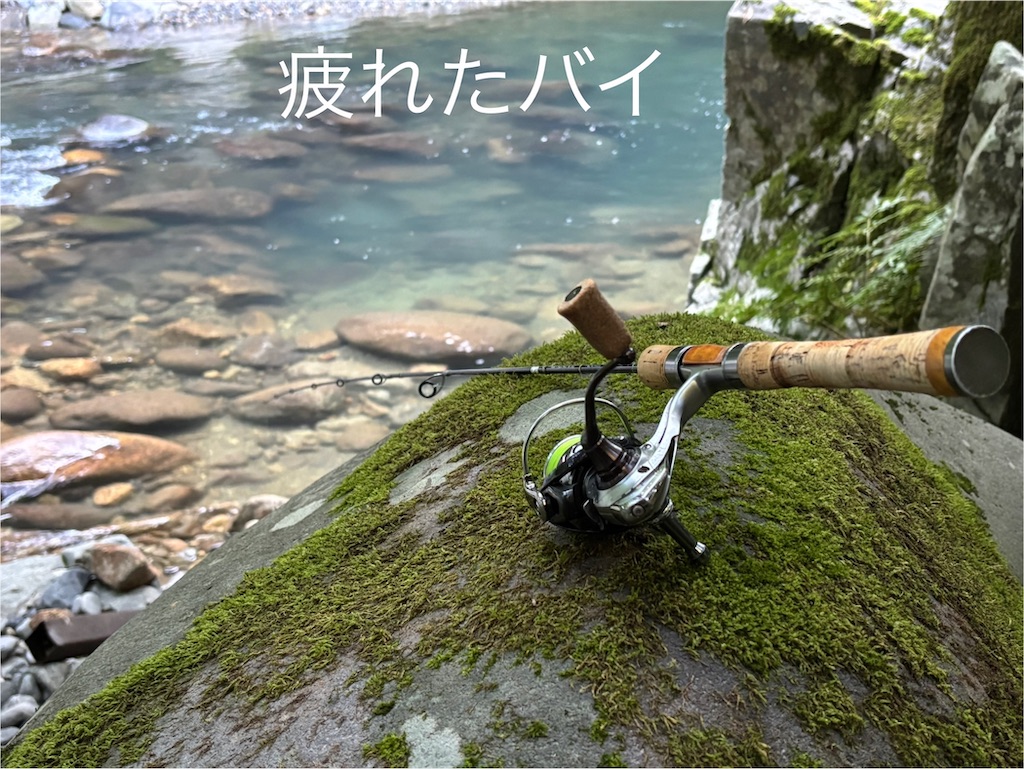 f:id:pirokitan:20250816163902j:image f:id:pirokitan:20250816163902j:image