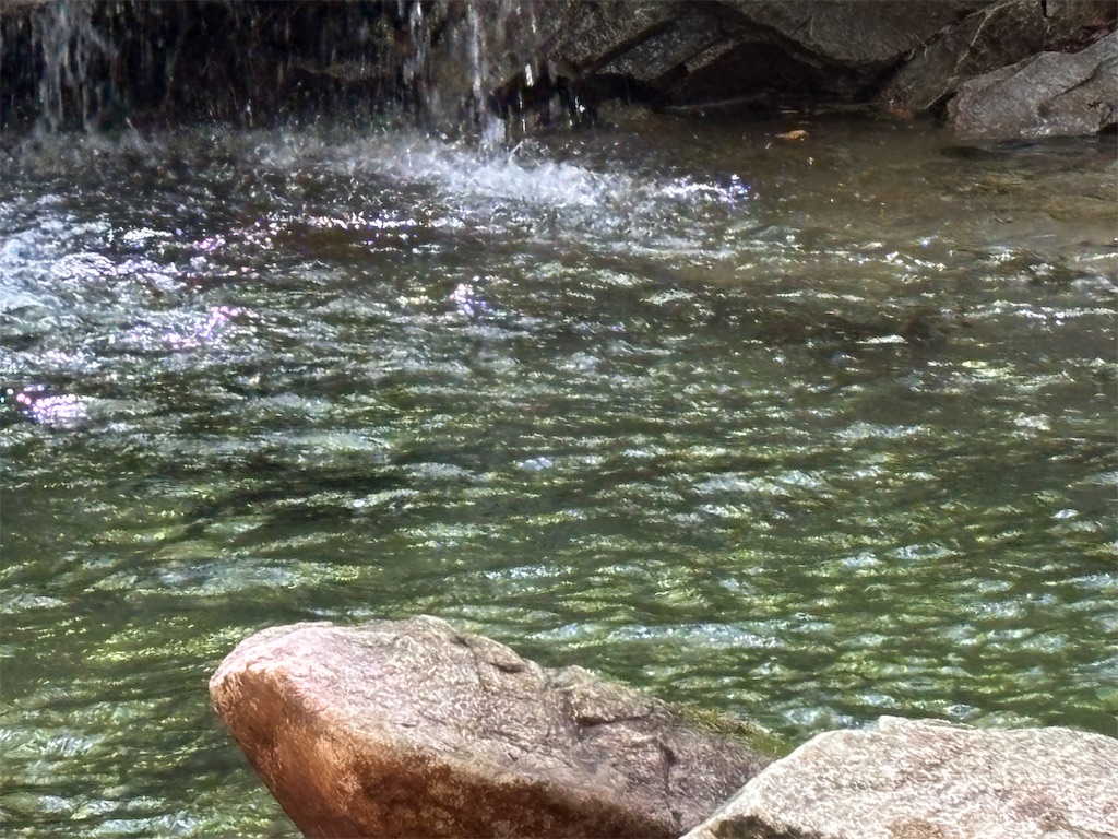 f:id:pirokitan:20250831072044j:image