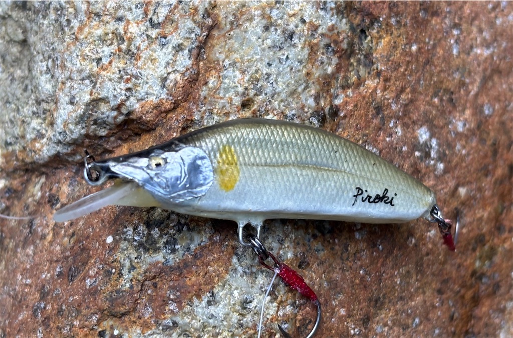 f:id:pirokitan:20250831080117j:image