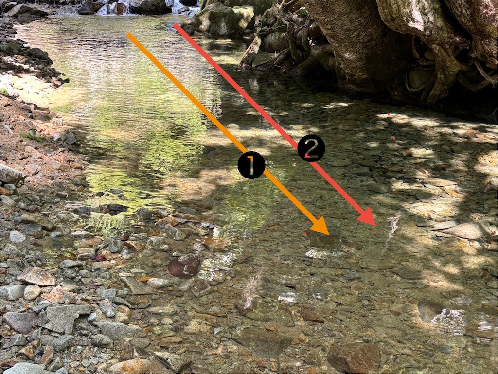 f:id:pirokitan:20250831082916j:image