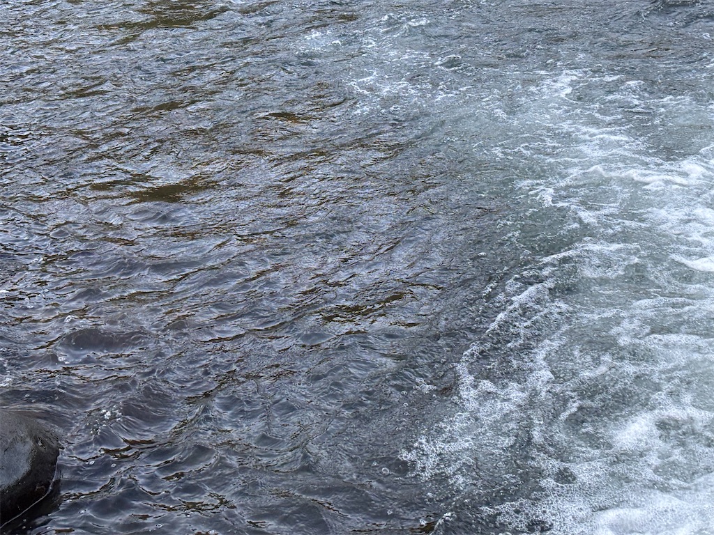 f:id:pirokitan:20250909064004j:image