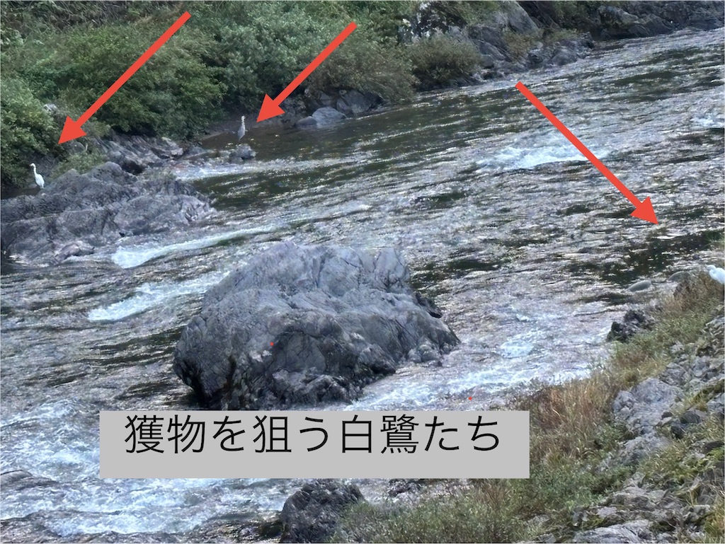 f:id:pirokitan:20250909064237j:image