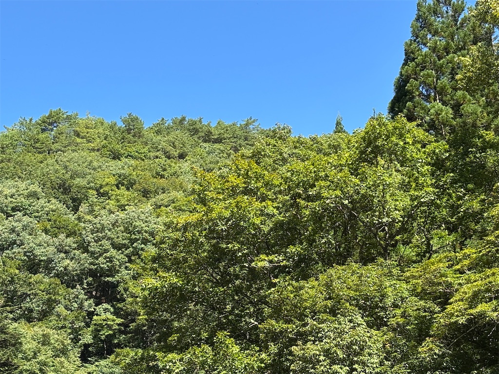 f:id:pirokitan:20250909065038j:image