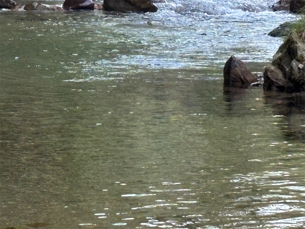 f:id:pirokitan:20250909192655j:image