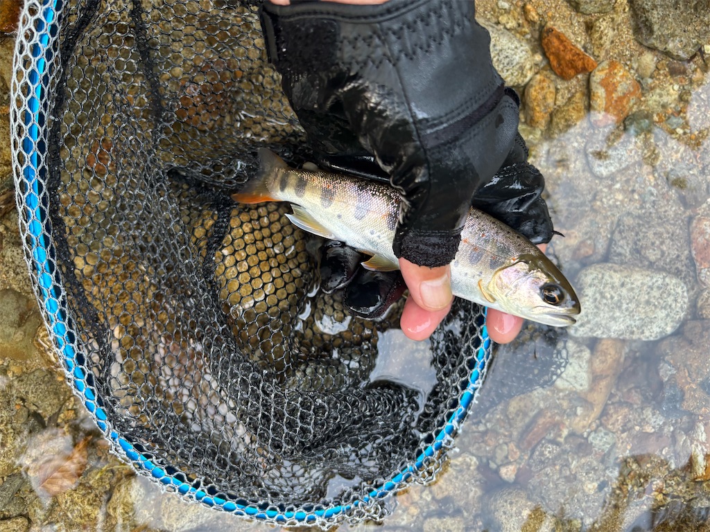 f:id:pirokitan:20250909193040j:image