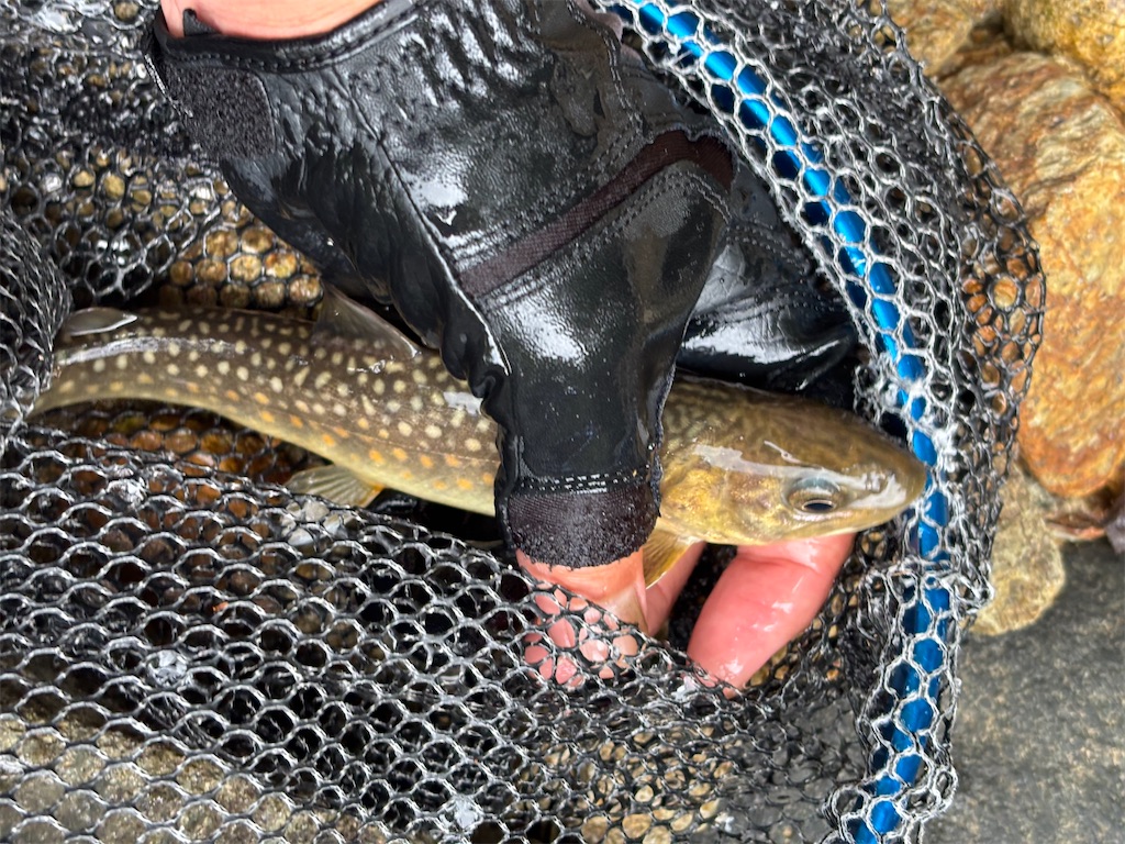 f:id:pirokitan:20250909193135j:image