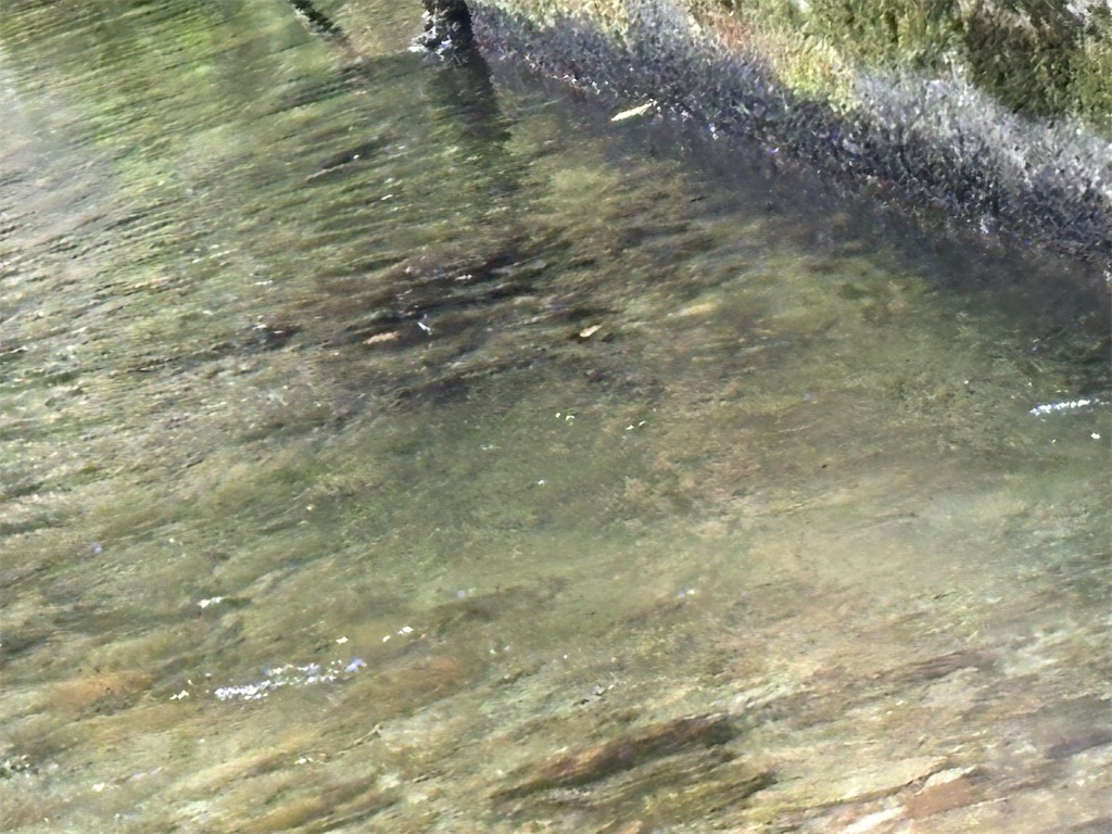 f:id:pirokitan:20250909193444j:image