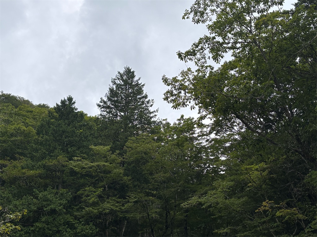 f:id:pirokitan:20250909215635j:image