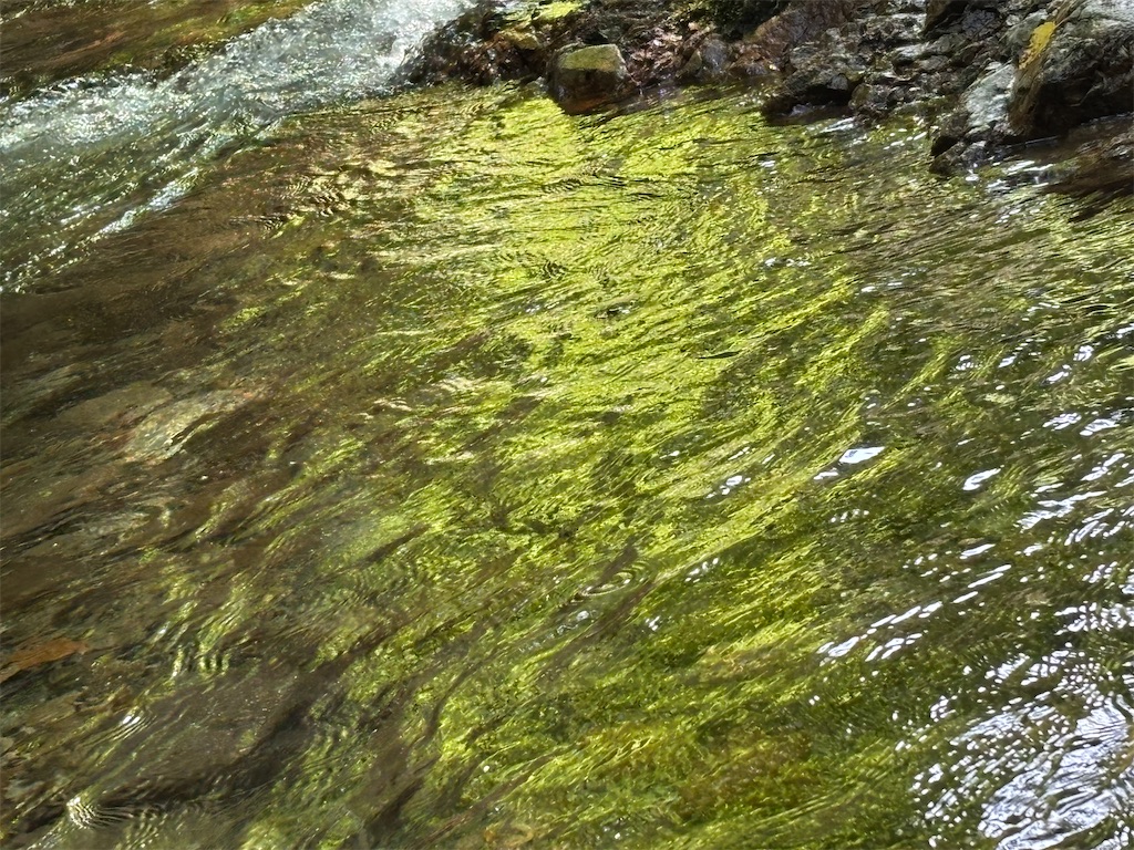 f:id:pirokitan:20250909220251j:image