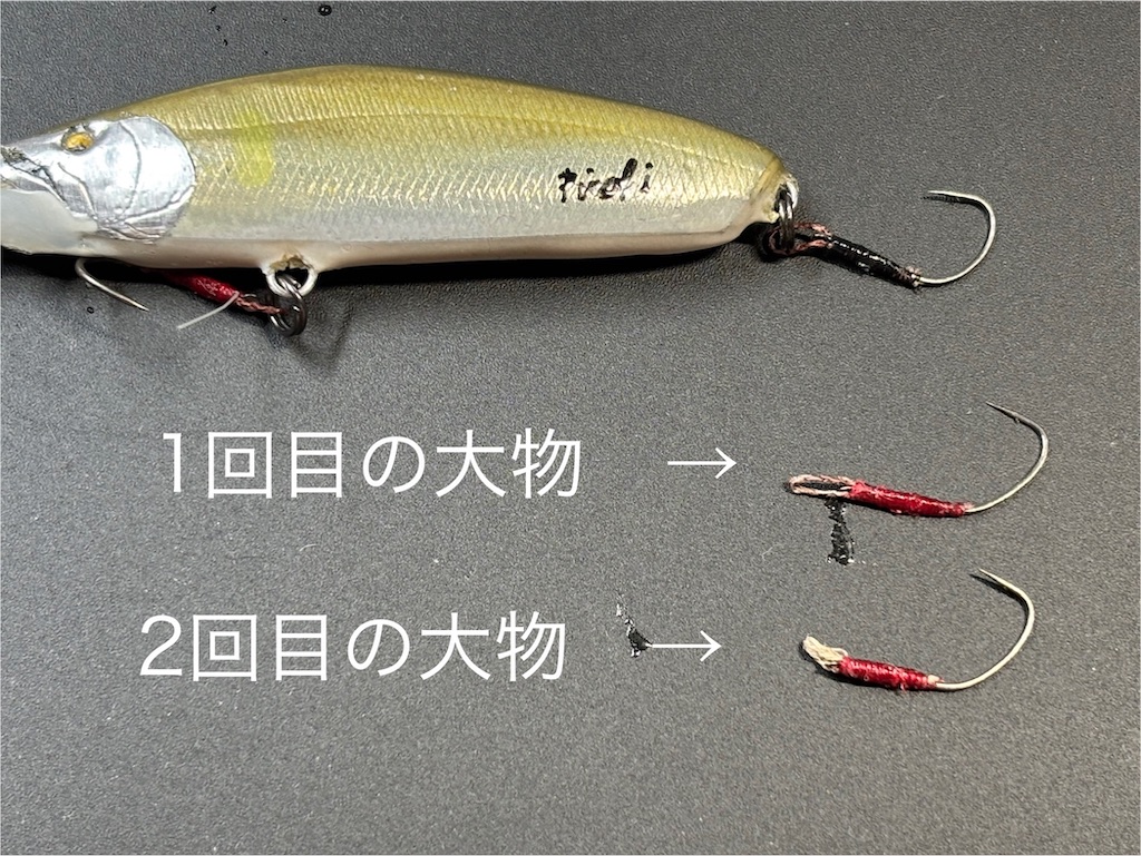 f:id:pirokitan:20250914124640j:image