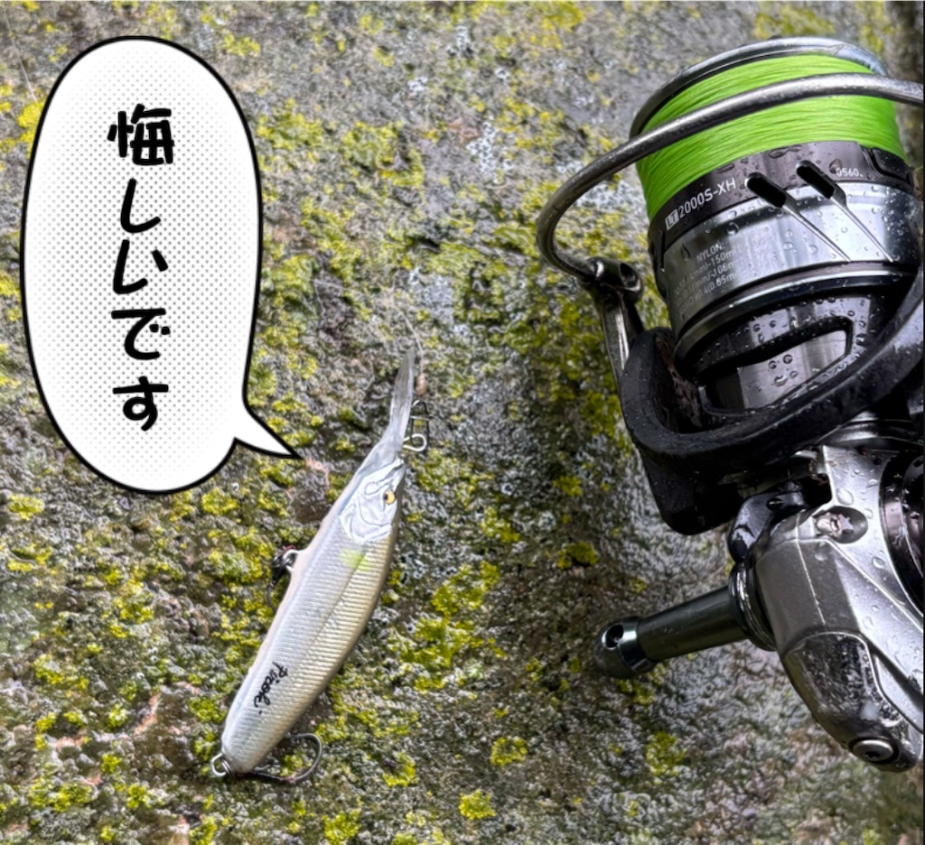 f:id:pirokitan:20250914205415j:image
