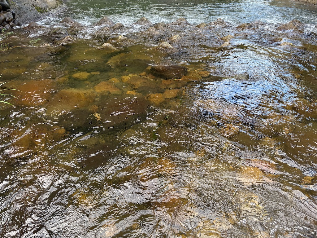 f:id:pirokitan:20250916055959j:image