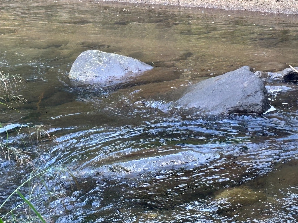 f:id:pirokitan:20250916060331j:image