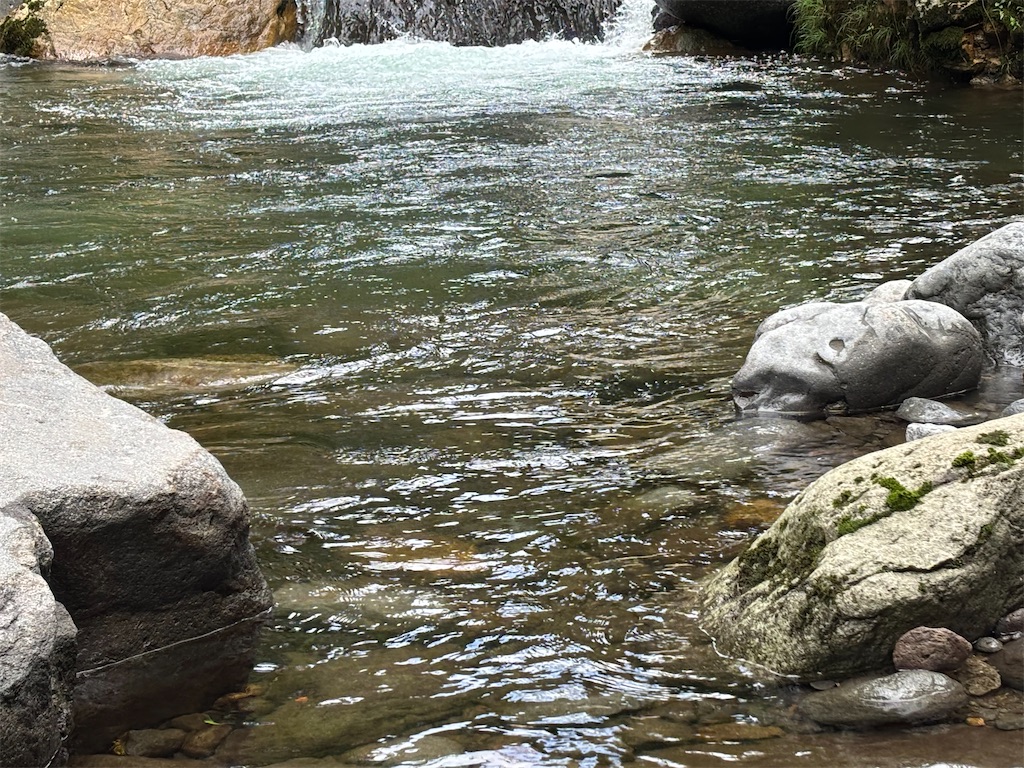 f:id:pirokitan:20250916060730j:image