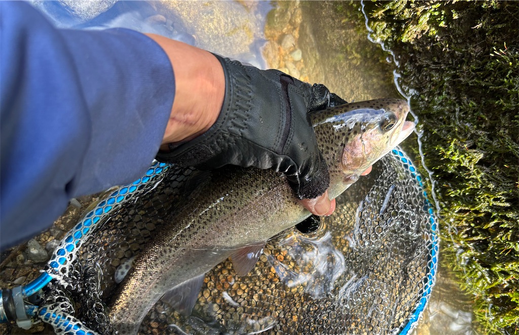 f:id:pirokitan:20250916061121j:image