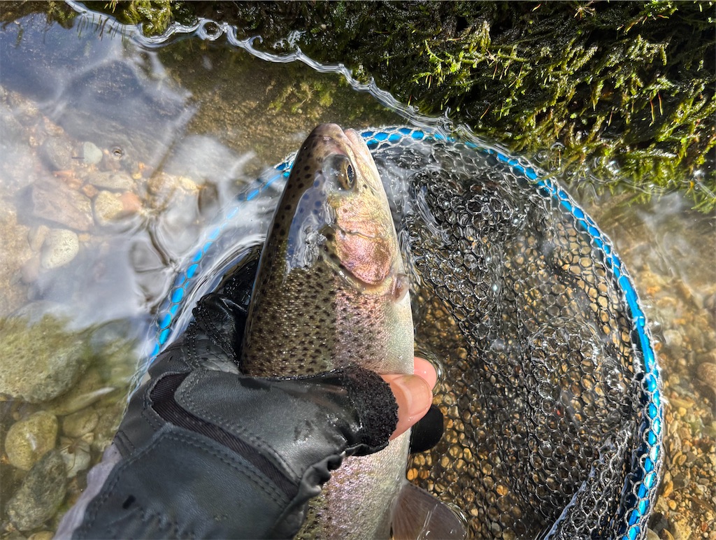 f:id:pirokitan:20250916061134j:image