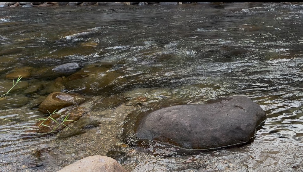 f:id:pirokitan:20250920080041j:image