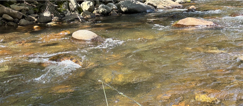 f:id:pirokitan:20250920081747j:image