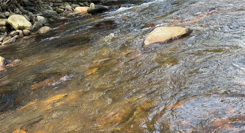 f:id:pirokitan:20250920081819j:image