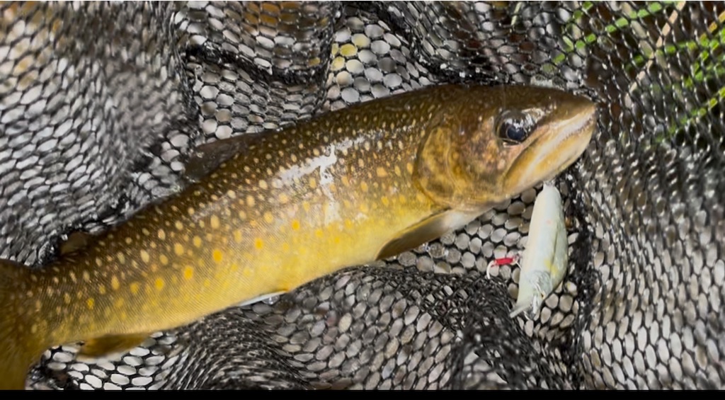 f:id:pirokitan:20250921211435j:image