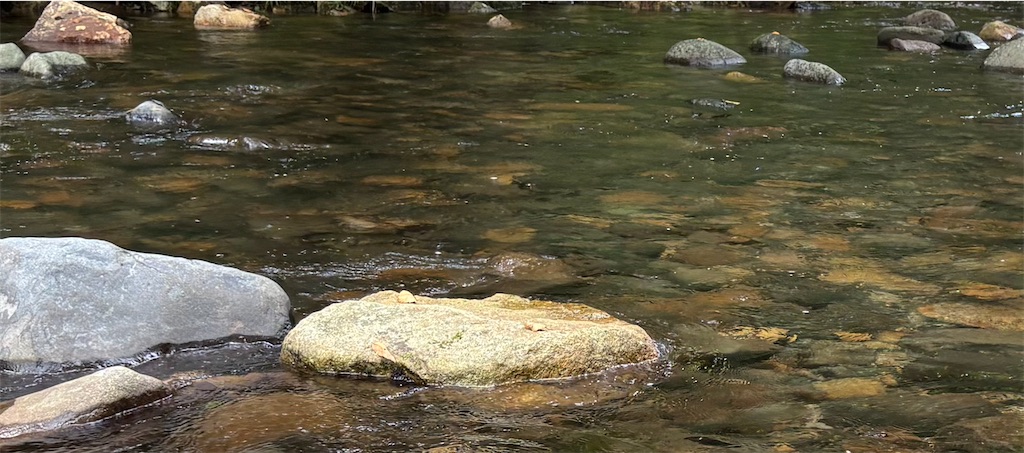 f:id:pirokitan:20250921211513j:image