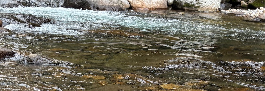 f:id:pirokitan:20250921211700j:image