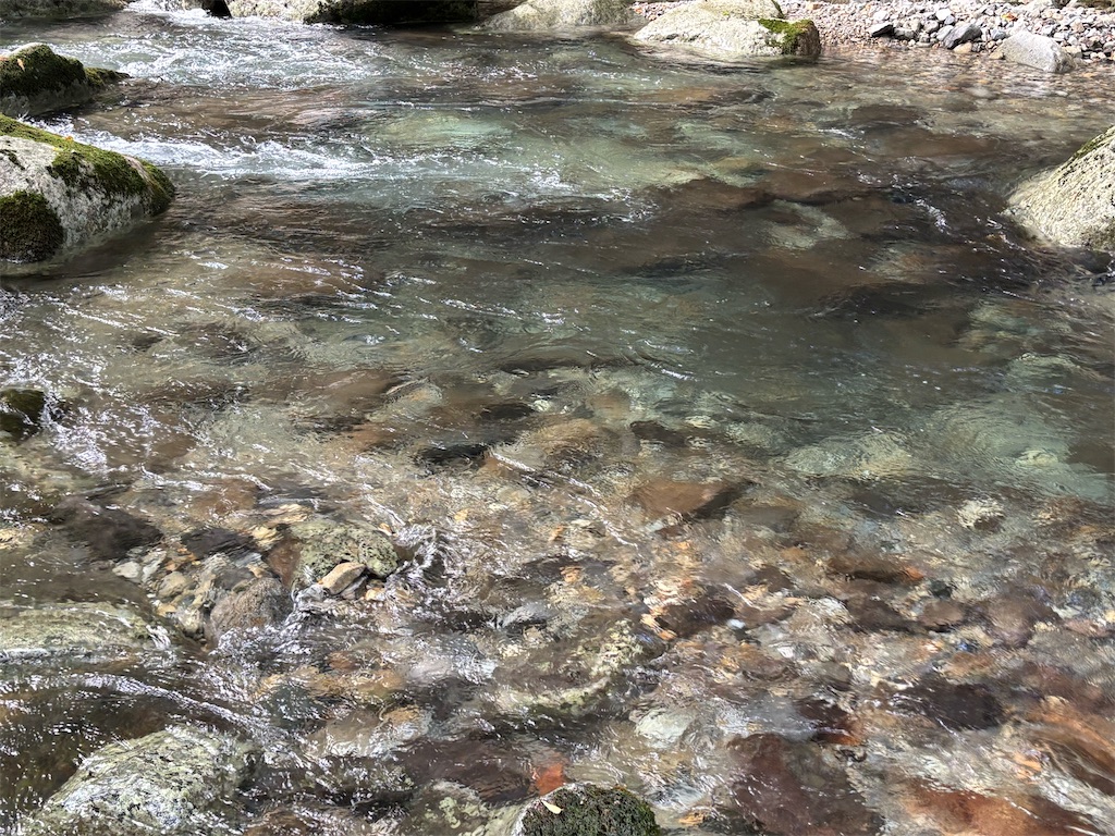 f:id:pirokitan:20250922062740j:image